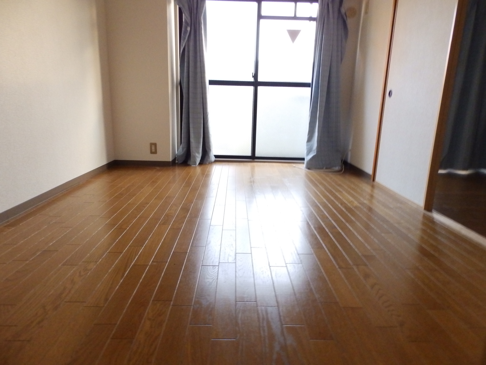 Living and room. Interior