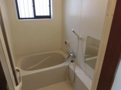 Bathroom. Indoor (10 May 2013) Shooting