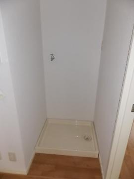 Other room space. Laundry Area