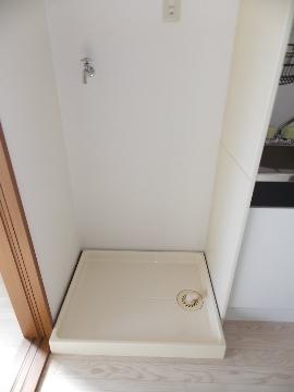 Other room space. Laundry Area