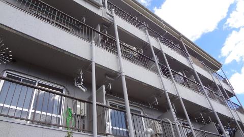 Building appearance. appearance