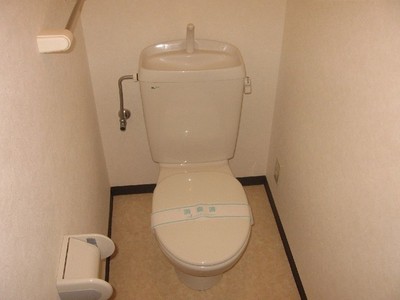 Toilet. Toilet