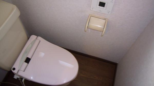 Toilet. window Bidet There