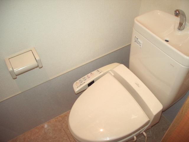 Toilet. Shower toilet