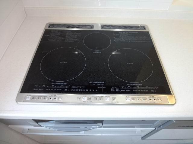 Kitchen. IH stove with system Kitchen.