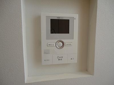 Other. Color monitor