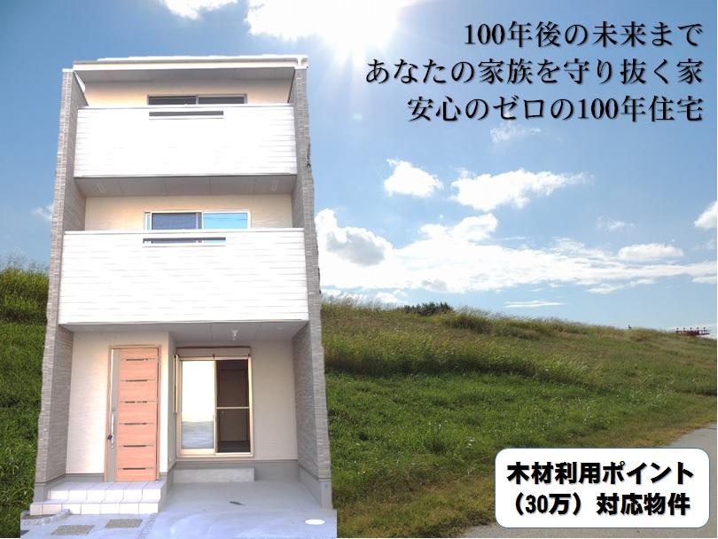 Local appearance photo. Property completed image remaining 1 House