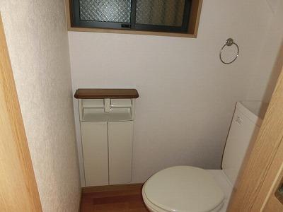 Toilet. Room (August 2013) Shooting