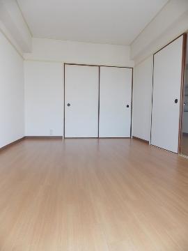 Living and room. Western style room