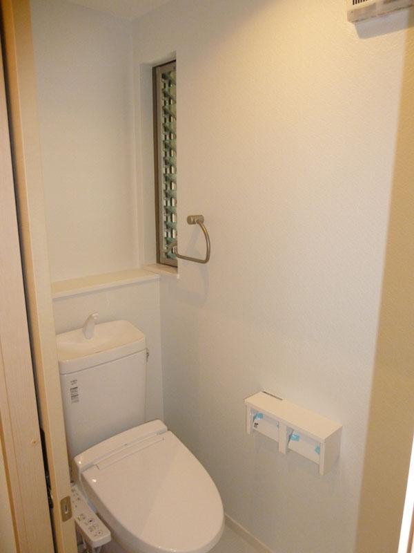 Toilet. Room (August 2013) Shooting