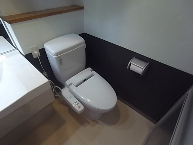 Toilet. Washlet toilet