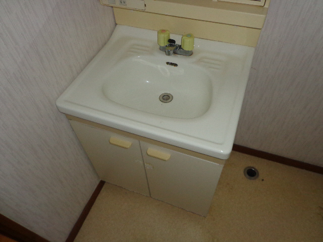 Washroom. Wash basin