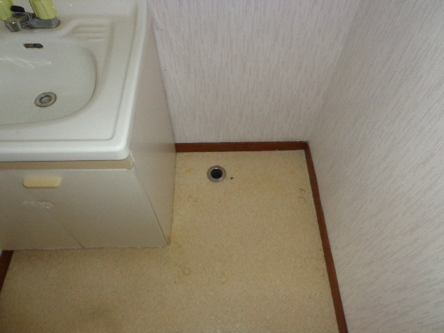 Other room space. Washing machine in the room