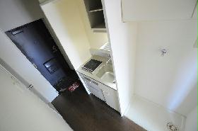 Living and room. Entrance step there