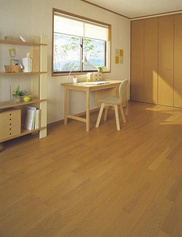 Other introspection. Room image