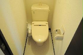 Toilet. Warm water washing toilet seat