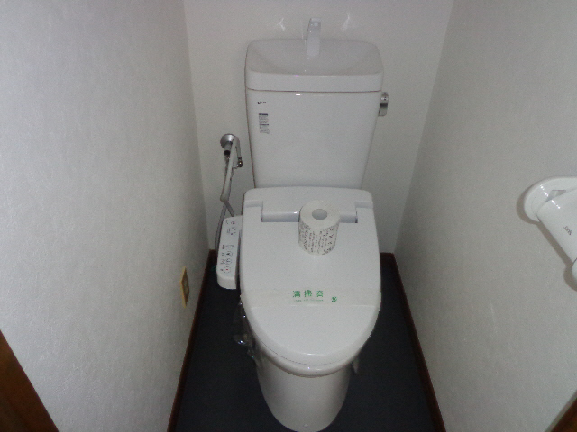 Toilet. Washlet toilet