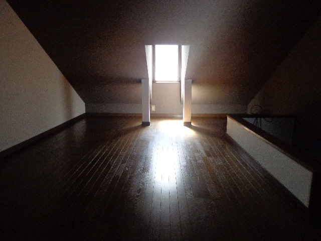 Other room space. Attic space