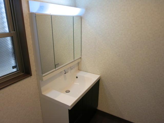 Wash basin, toilet. Bathroom vanity