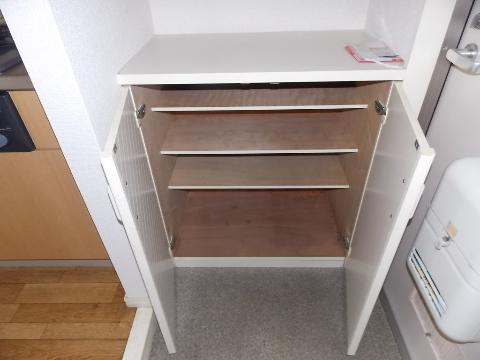 Other room space. Shoe box