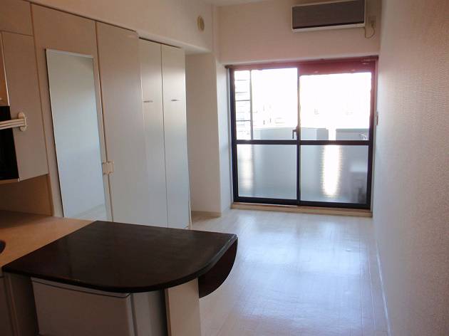 Living and room. Bright rooms