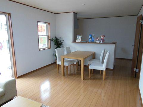 Living. The company construction cases