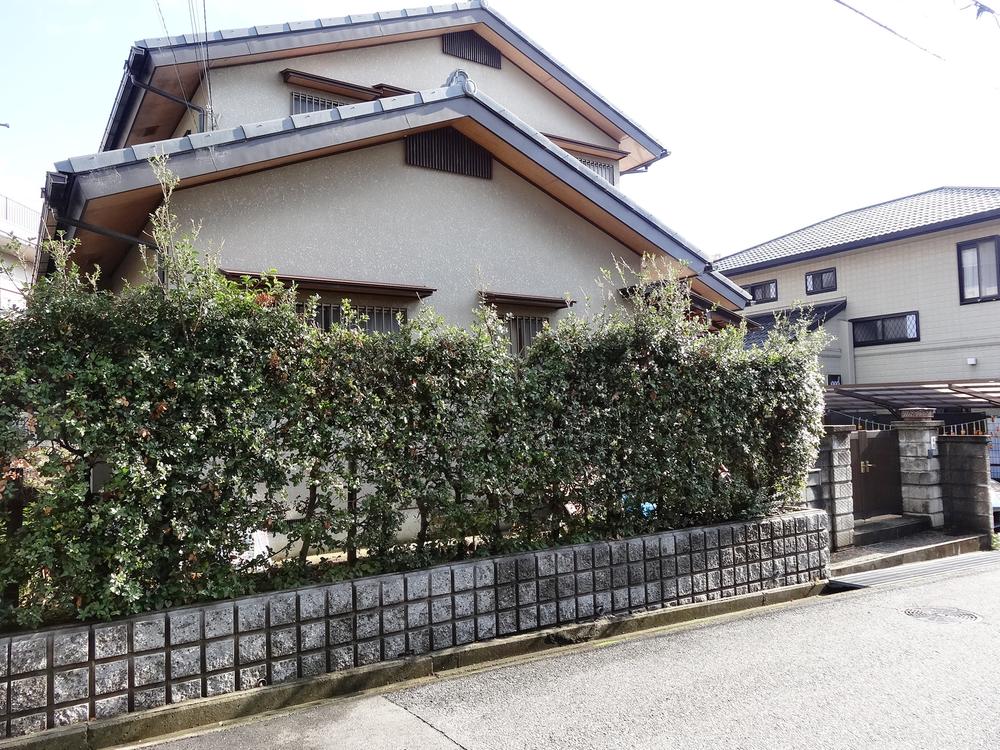 Local appearance photo. Local (11 May 2013) Shooting