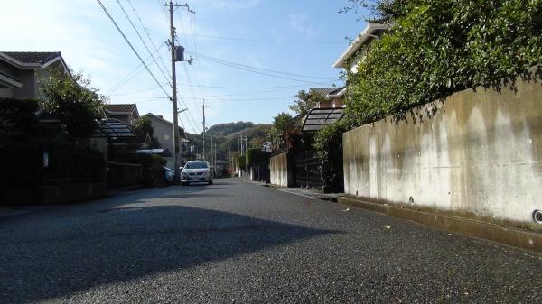 Local photos, including front road