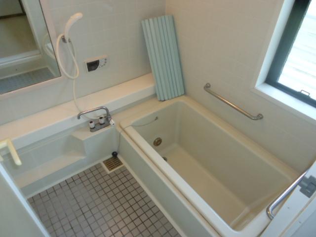 Bathroom. Indoor (05 May 2013) Shooting