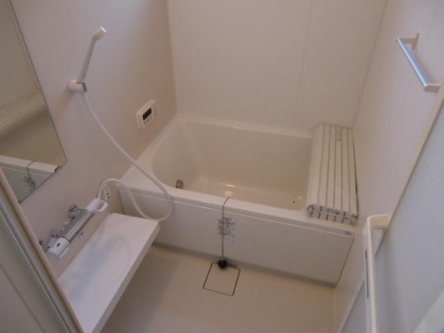 Bathroom. Indoor (August 2, 2013) Shooting