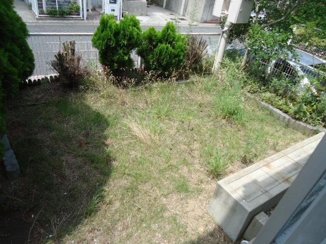 Garden. Indoor (August 2, 2013) Shooting