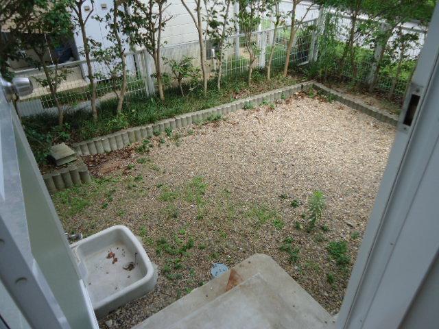 Garden. Indoor (August 2, 2013) Shooting