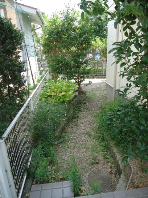 Garden. Indoor (August 2, 2013) Shooting