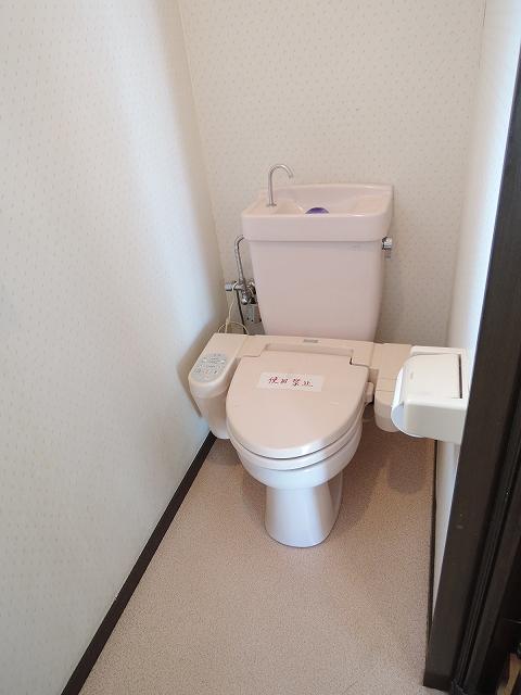 Toilet. The first floor toilet