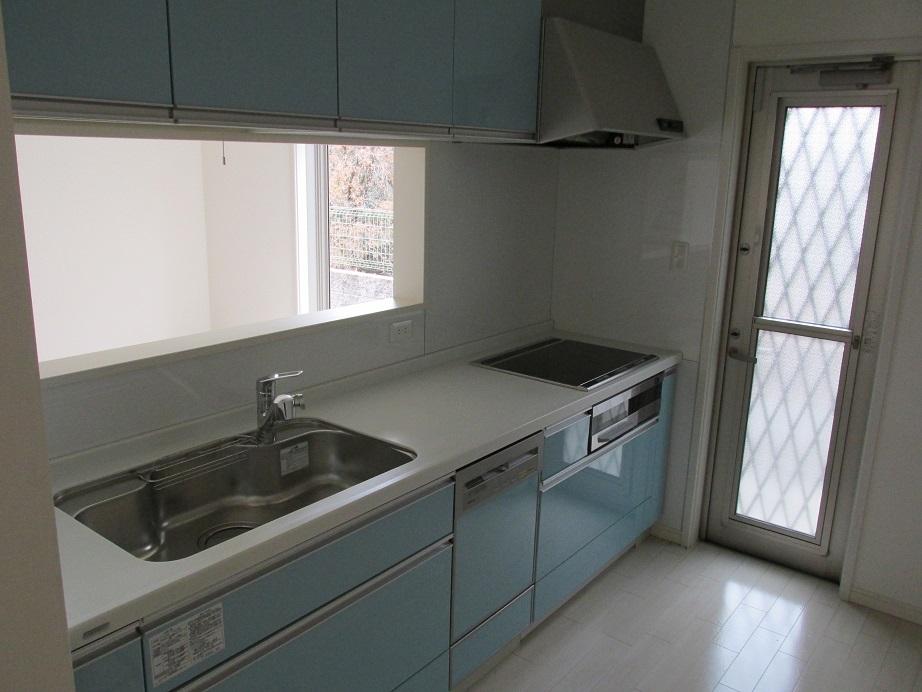 Kitchen. Dishwasher IH cooking heater - is