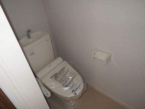 Toilet. The company construction cases