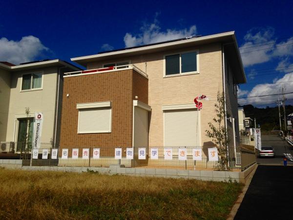 Local appearance photo. South-facing living room is comfortable and well day