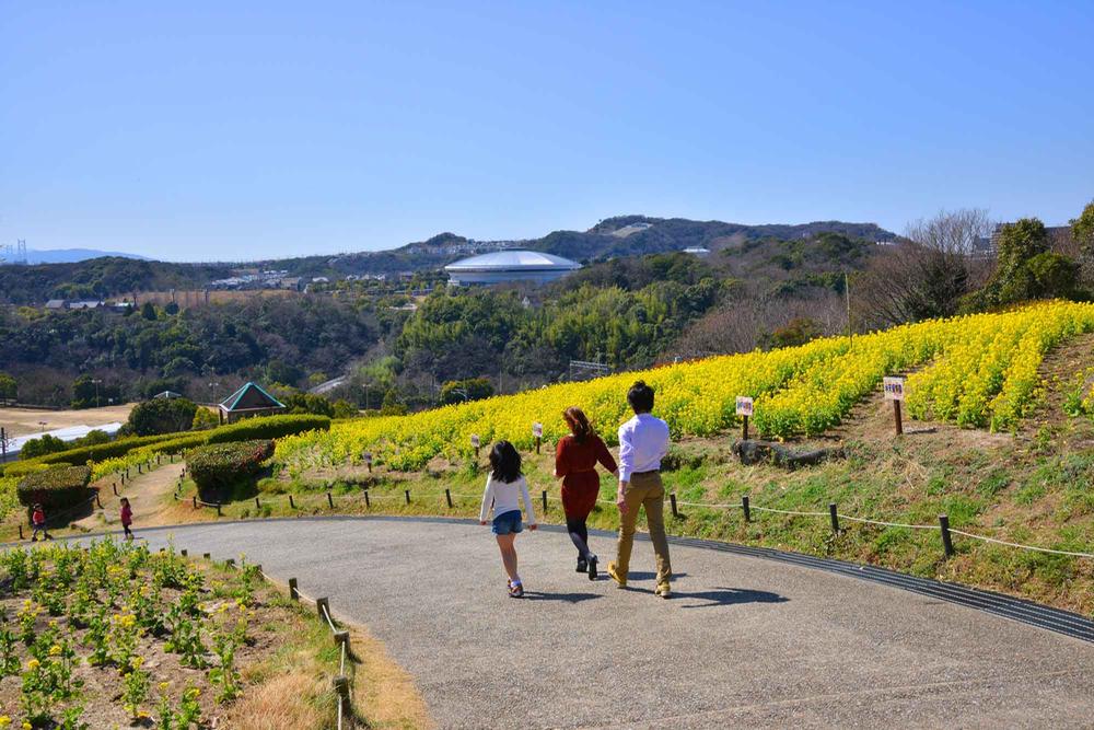 Other. A variety of flowers are planted every season will entertain the people of the eyes and nose in the hills of the cosmos. Wider view overlooking the Akashi Kaikyo Bridge on the day in good weather from the summit. 