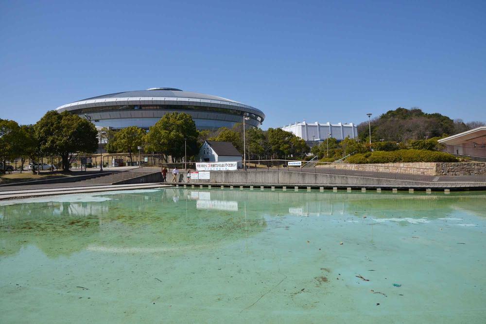 Other. Green Arena Kobe and Chubb Chubb pond. 