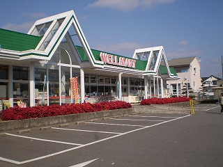 Supermarket. 990m until well Mart (super)