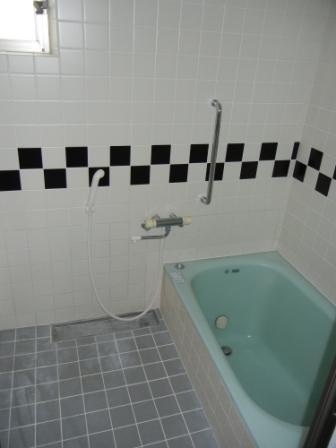 Bathroom. Indoor (11 May 2013) Shooting