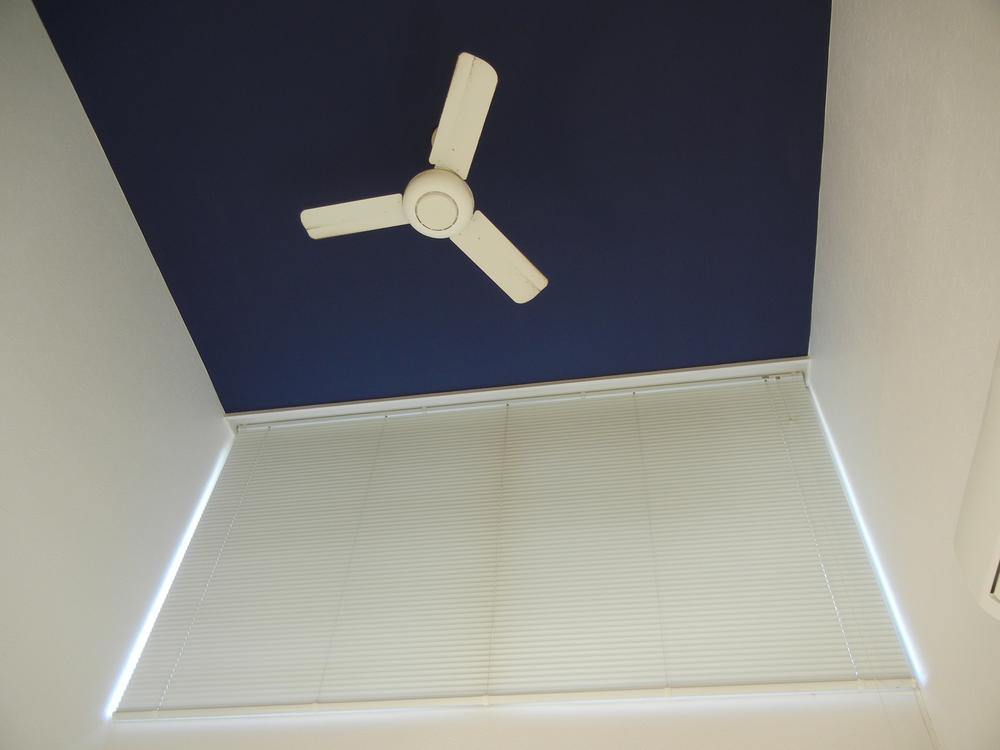 Other. The ceiling of the living room