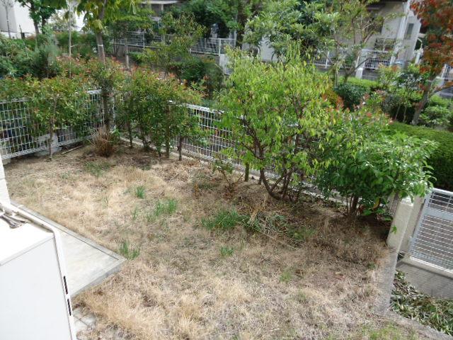 Garden. Local (10 May 2013) Shooting