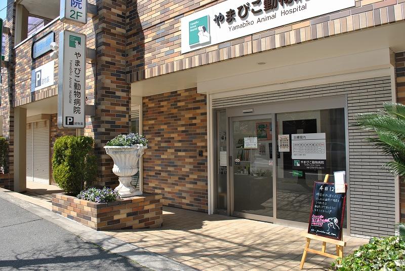 Hospital. When you are ready to live in the 1200m detached until Yamabiko animal hospitals want to buy a dog or cat! Should be many people that. Primary care hospital is also safe in your neighborhood. 