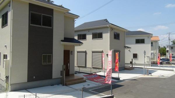 Local photos, including front road