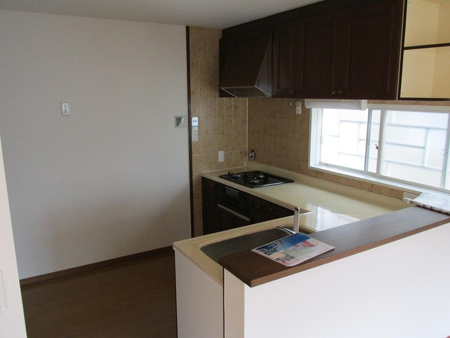 Kitchen. It is L-shaped face-to-face kitchen Yan most popular