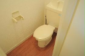 Toilet. Spacious clean toilet