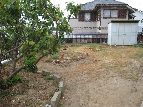 Garden. Local (August 2013) Shooting