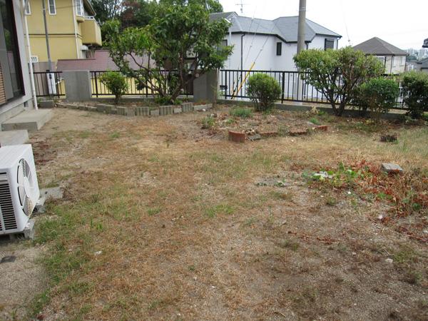 Garden. Local (August 2013) Shooting