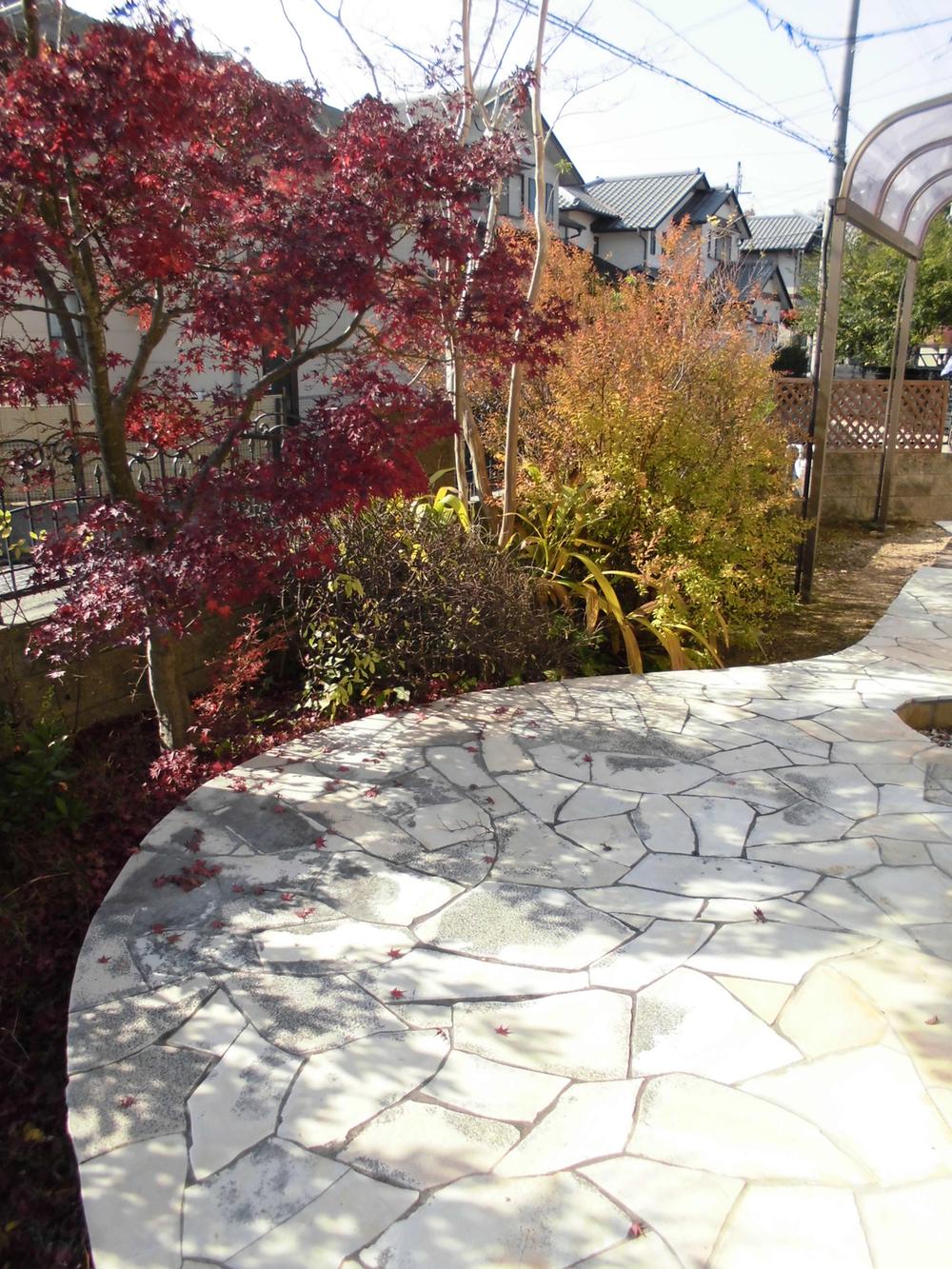 Garden. Local (12 May 2013) Shooting